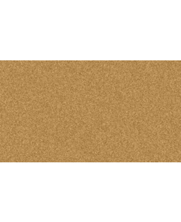 Medium picture 1 main