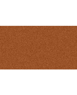 Medium picture 1 main