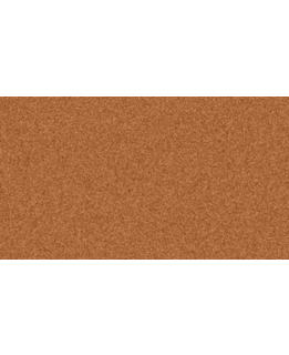 Medium picture 1 main