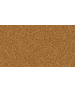 Medium picture 1 main