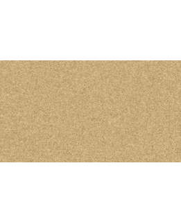 Medium picture 1 main