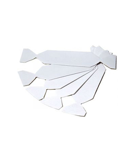 Medium picture 1 main