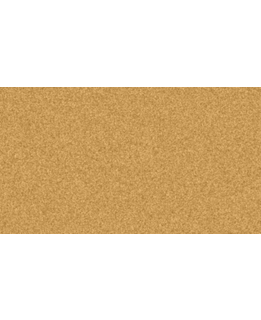 Medium picture 1 main